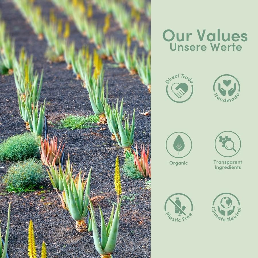 Aloe Vera Serum Pur, 99,6% mit fester Sonnencreme, bio und plastikfrei -  im Set